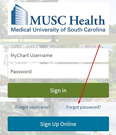 MUSC Password Recovery