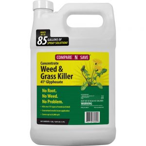 Compare-N-Save Concentrate Grass & Weed Killer