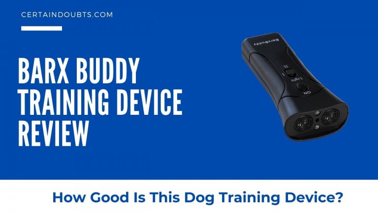 BarxBuddy Review – How Good Is This Dog Training Device?