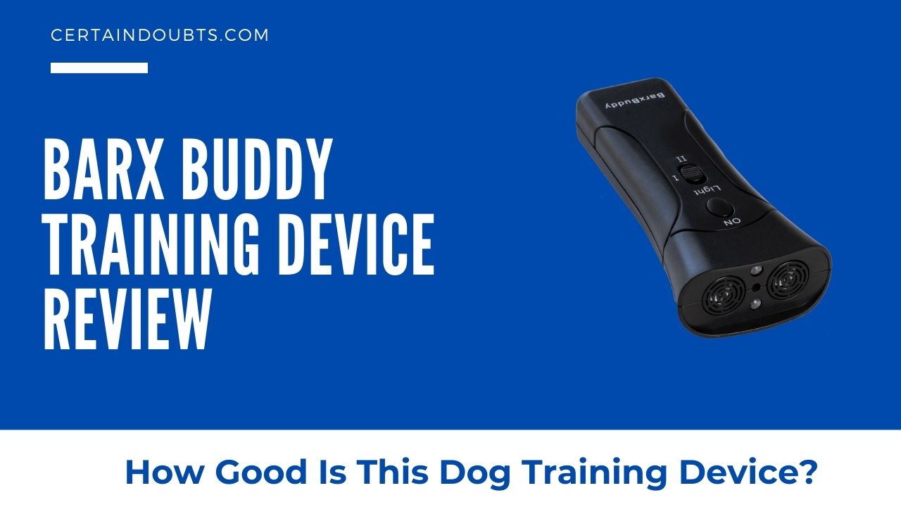 BarxBuddy Review – How Good Is This Dog Training Device? - Certain Doubts