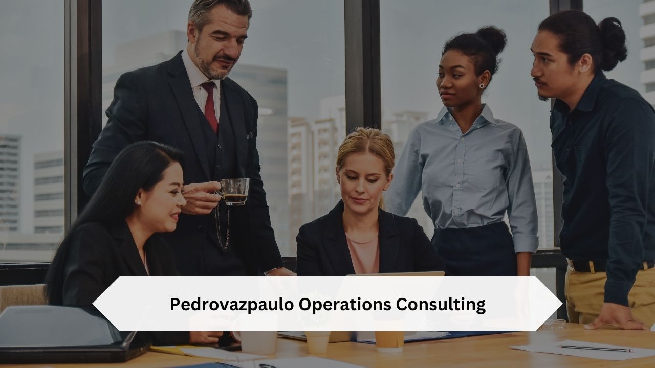 Pedrovazpaulo Operations Consulting